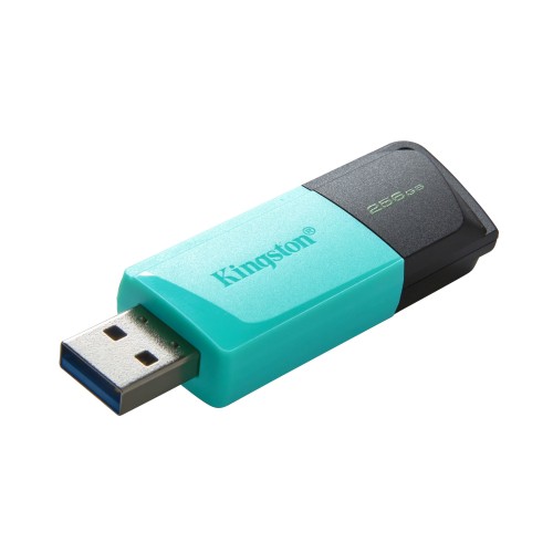 Kingston Technology DataTraveler 256GB USB3.2 Gen1 Exodia M (Negro + Turquesa)
