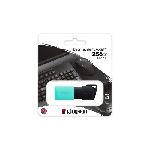 Kingston Technology DataTraveler 256GB USB3.2 Gen1 Exodia M (Negro + Turquesa)